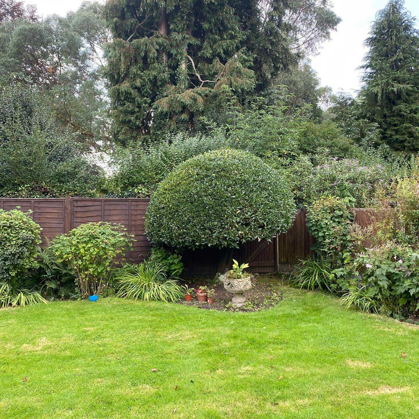 Tree Specialists in Royal Tunbridge Wells