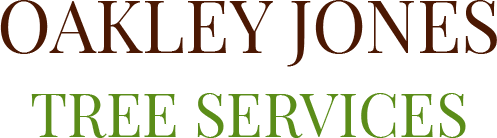 Tree Specialists in Royal Tunbridge Wells
